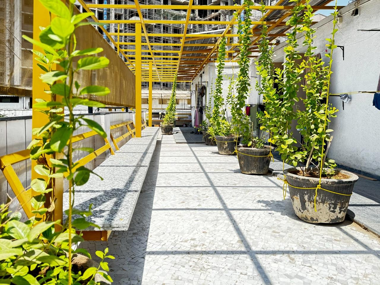 Outdoor terrace with plants, sunlight, and yellow hostel building structure