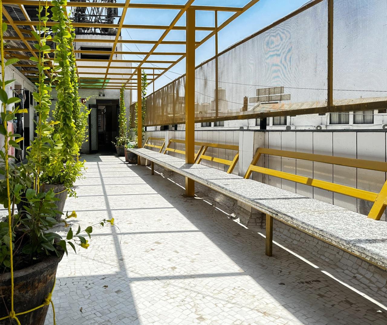 Yellow hostel building exterior view with trees and city skyline